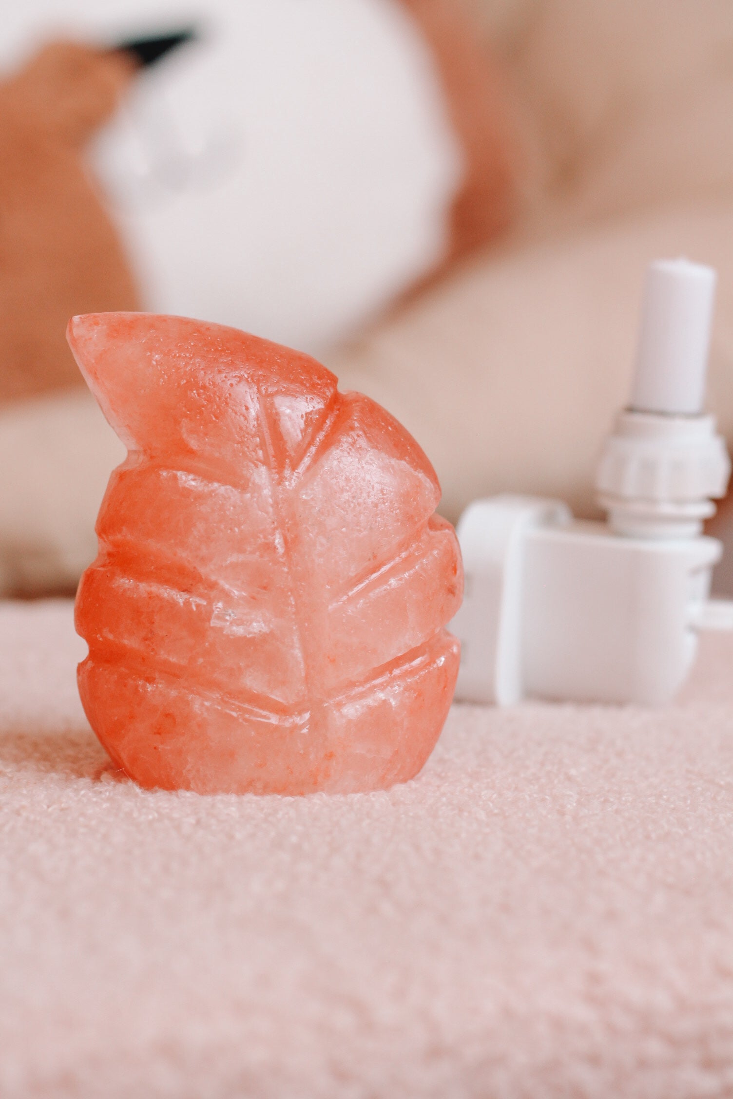 Himalaya zoutsteen nachtlamp in de vorm van een blad