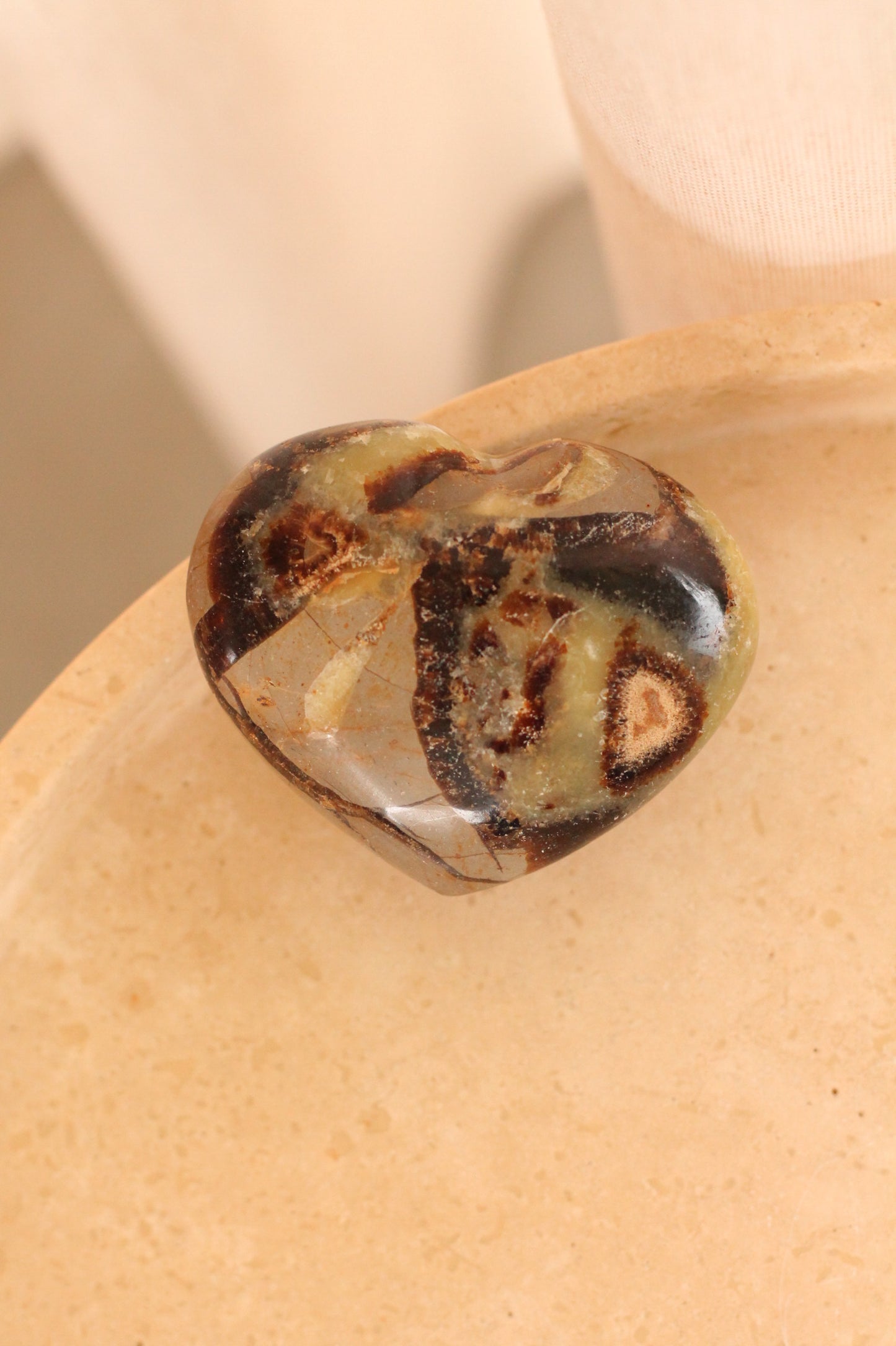 Septarie - big heart