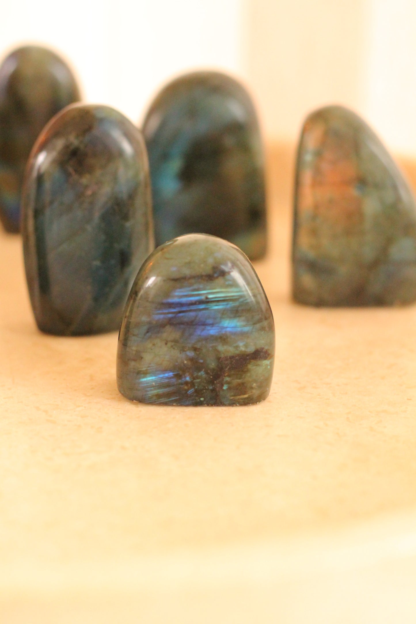 Labradoriet mini flatje