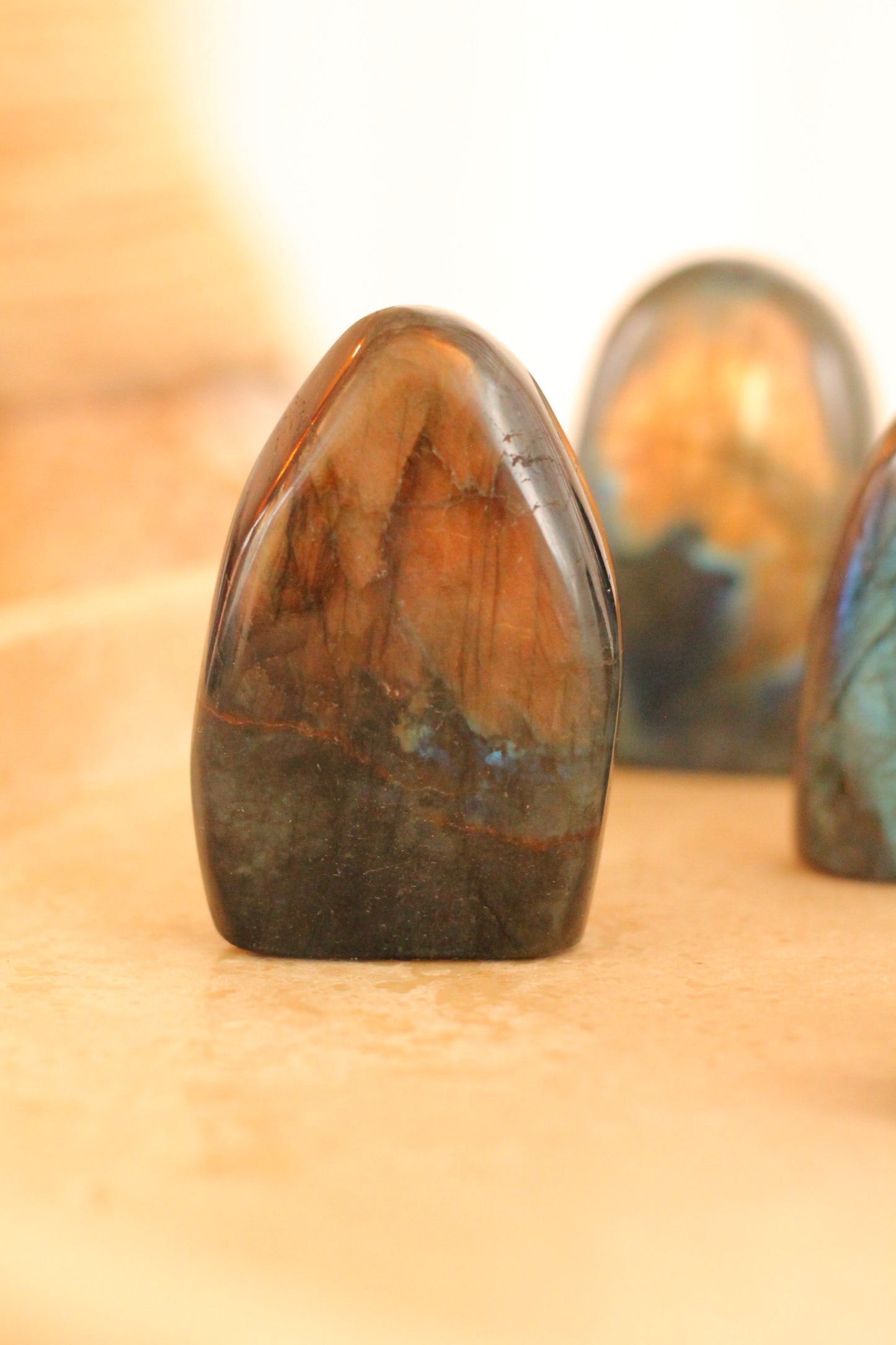 Labradoriet mini flatje