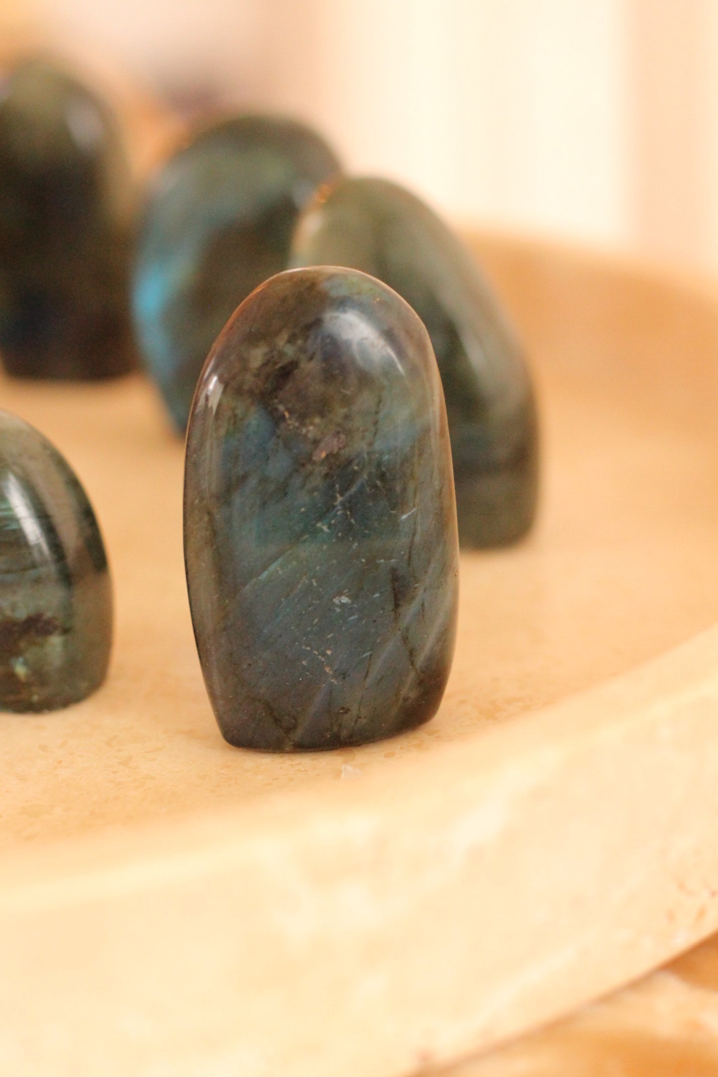 Labradoriet mini flatje