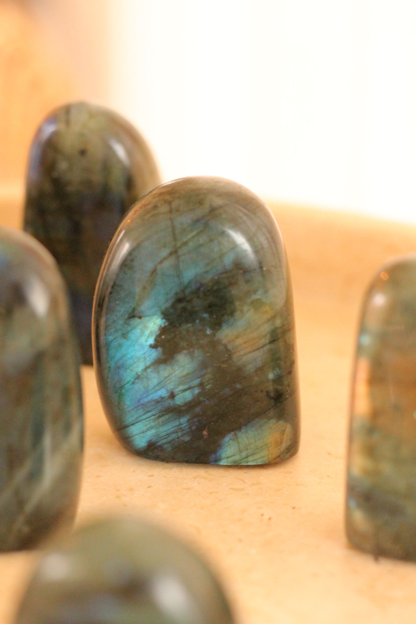 Labradoriet mini flatje