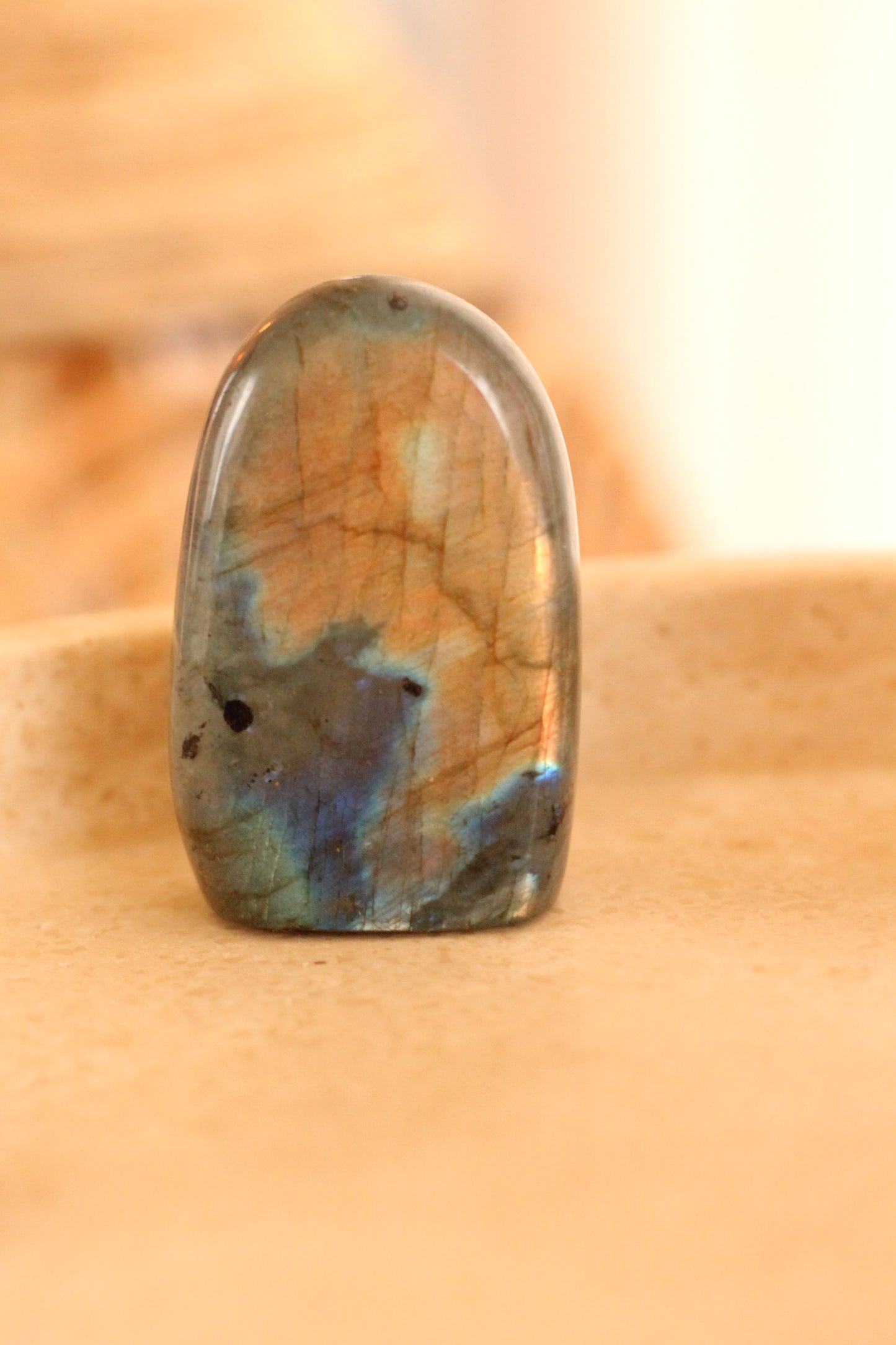 Labradoriet mini flatje