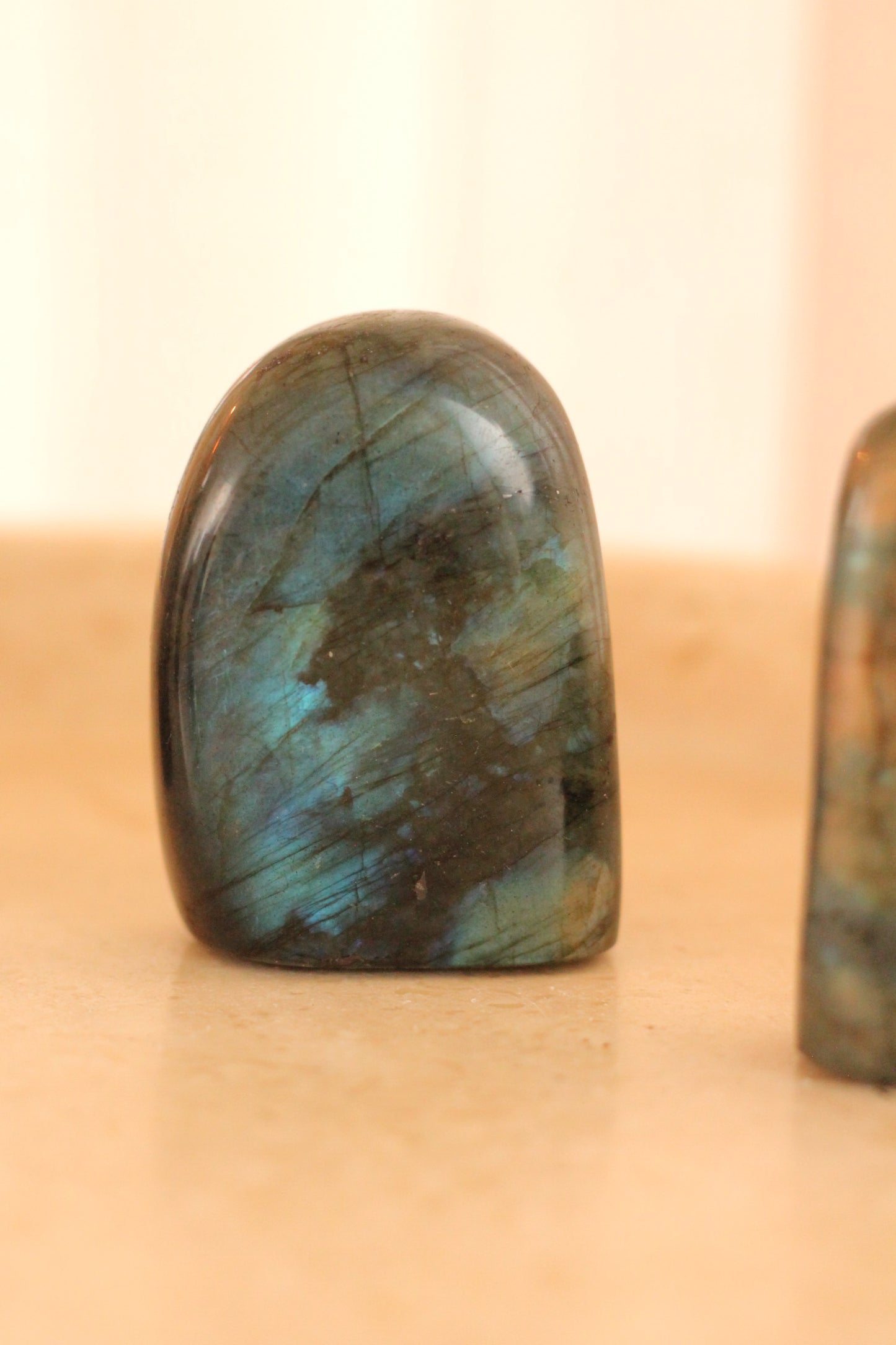 Labradoriet mini flatje