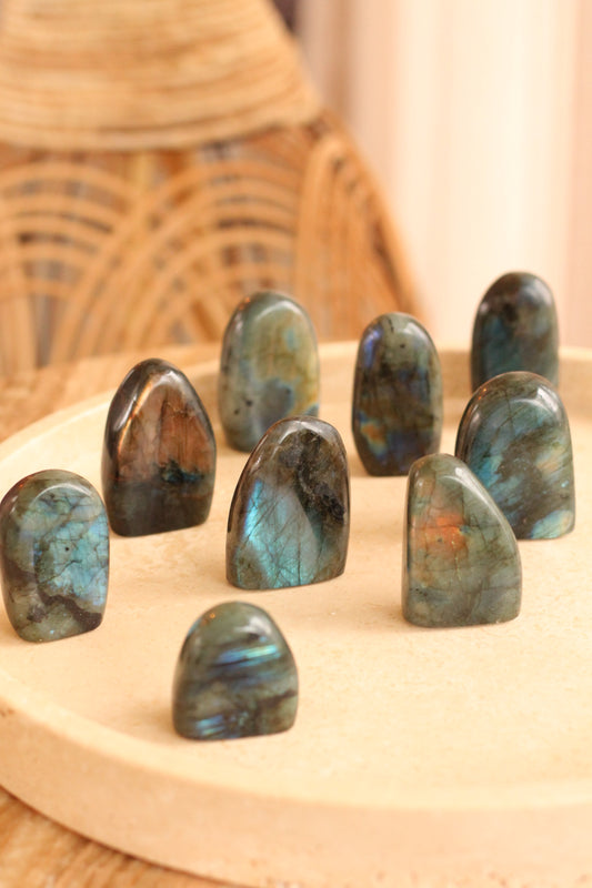 Labradoriet mini flatje